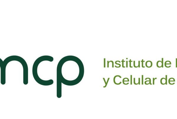 IBMCP logo 6
