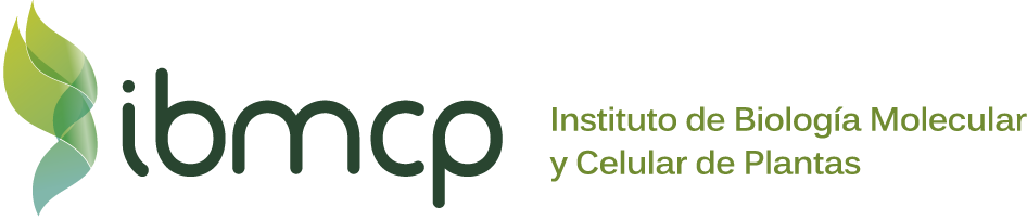 IBMCP logo 10