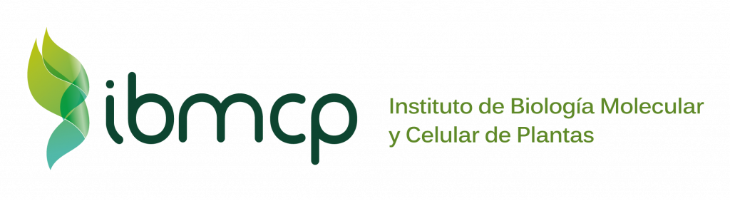 IBMCP logo 6