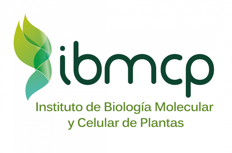 IBMCP logo 3