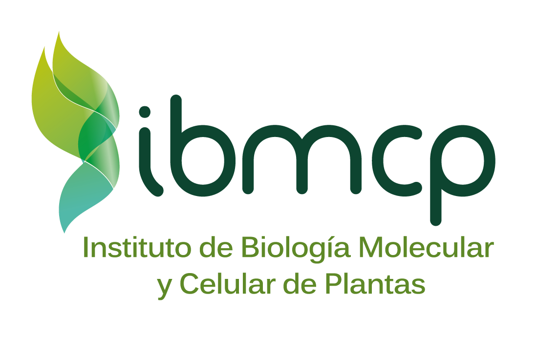 IBMCP logo 3